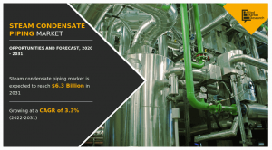 Steam Condensate Piping Market Share