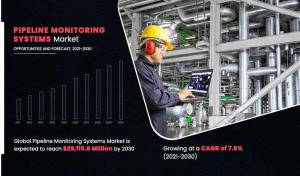 Pipeline Monitoring Systems Market Share