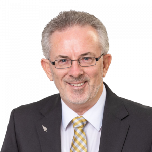 Steve Baron - Webprecision