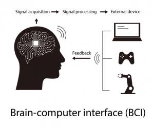 Brain Computer Interface Market 2024