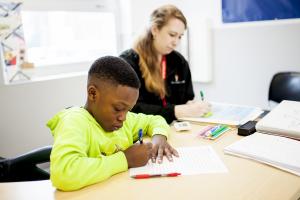 The Literacy Lab Tutor/Student