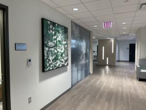 Healthcare Art Consulting Quality Art House Announce Revamped Rental   20184236 Healthcare Corridor 300x225 