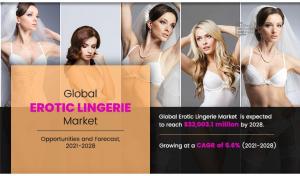 Erotic Lingerie Market Size