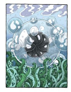 Pillbug Story Image 1