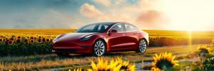 Model 3 bathing in the sun