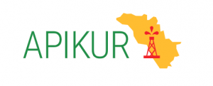 apikur logo 2
