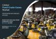 Food Grade Gases Market Size, Growth Opportunities, Analysis by Competitors and Regional Growth