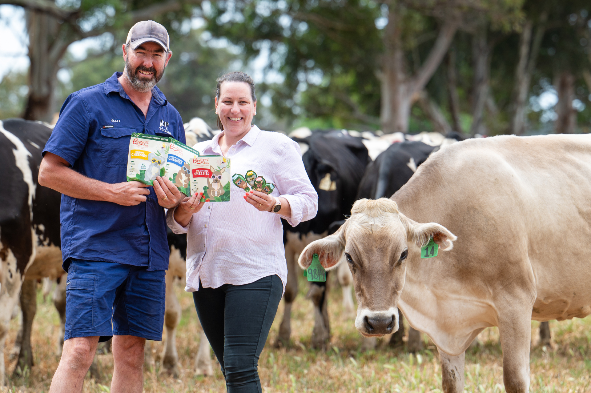 Australia’s oldest dairy targeting Asian lunchboxes with new cheese ...