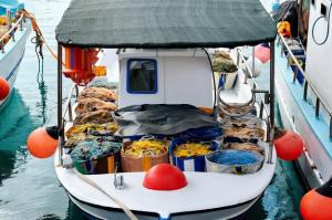 India Seafood Market