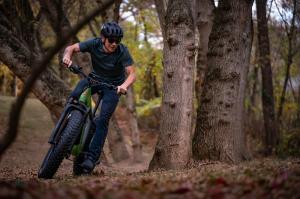 Riding The Forest Summit HT