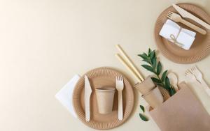 US Paper Cups and Paper Plates Market Latest Report 2024-2032