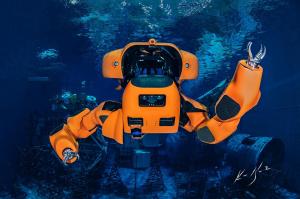 Underwater Robotics Market