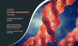 Protein Expression Market AMR