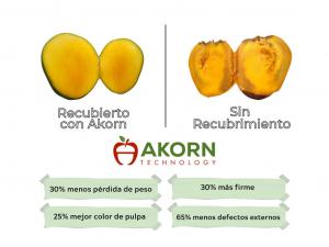 Mango side by side 2024 Spanish
