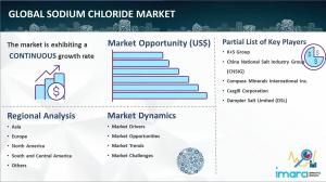 Sodium Chloride Market Research Report 2024-2032