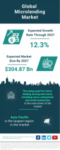 Microlending Market Report 2024 – Market Size, Trends, And Global Forecast 2024-2033