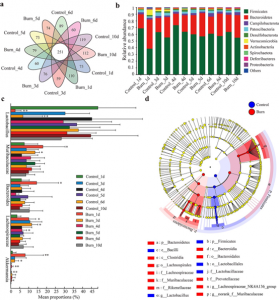 Figure 1. Severe burn altered the composition of gut microbiota.
