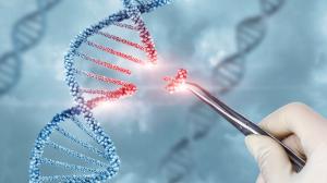 Gene Therapy Market Report 2024-2032