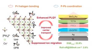 Figure | The role of multifunctional ligands.