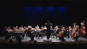 Adelphi Orchestra