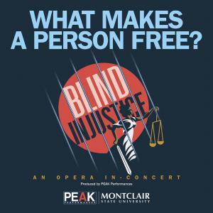 Blind Injustice logo, a picture of "Lady Justice" behind bars