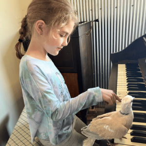 A little girl playing a piano with a bird on top of it.