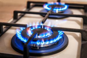 Biomethane Market Report
