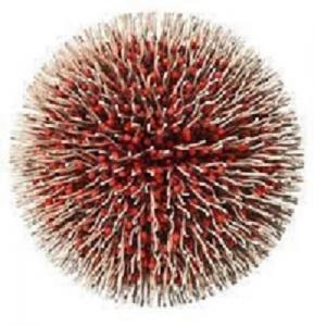Polymeric Nanoparticles Market Report