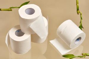 Bamboo Paper Manufacturing Plant Project Report