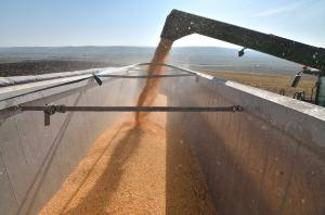 estes xpr concaves becks corn study