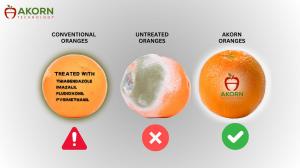 Side by side comparison of Akorn-coated orange vs uncoated vs chemically coated