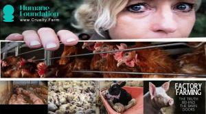www.Cruelty.Farm