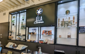 ILLA CANNA best weed dispensary in los angeles