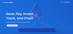 Connect Wallet Website