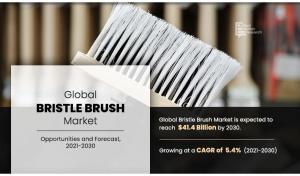 Bristle Brush Market Size, Share