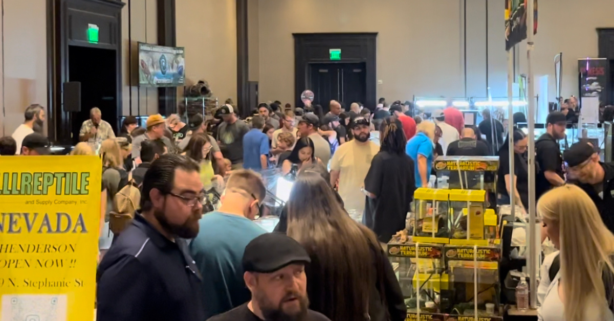 Exotic Pet Reptile Expo Brings Wild Wonder to Las Vegas at the