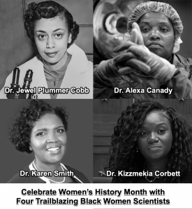 Celebrate Women’s History Month with Four Trailblazing Black Women ...