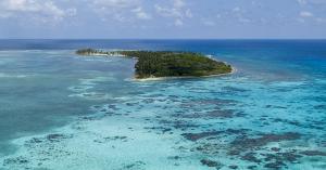 Small island covered with trees and vegetation, surrounded by pristine turquoise waters.
