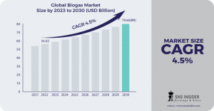  Biogas Market