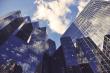 Vendorland's Pick of the Best Enterprise Software Developers in March 2025