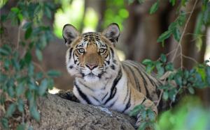 Panna National Park