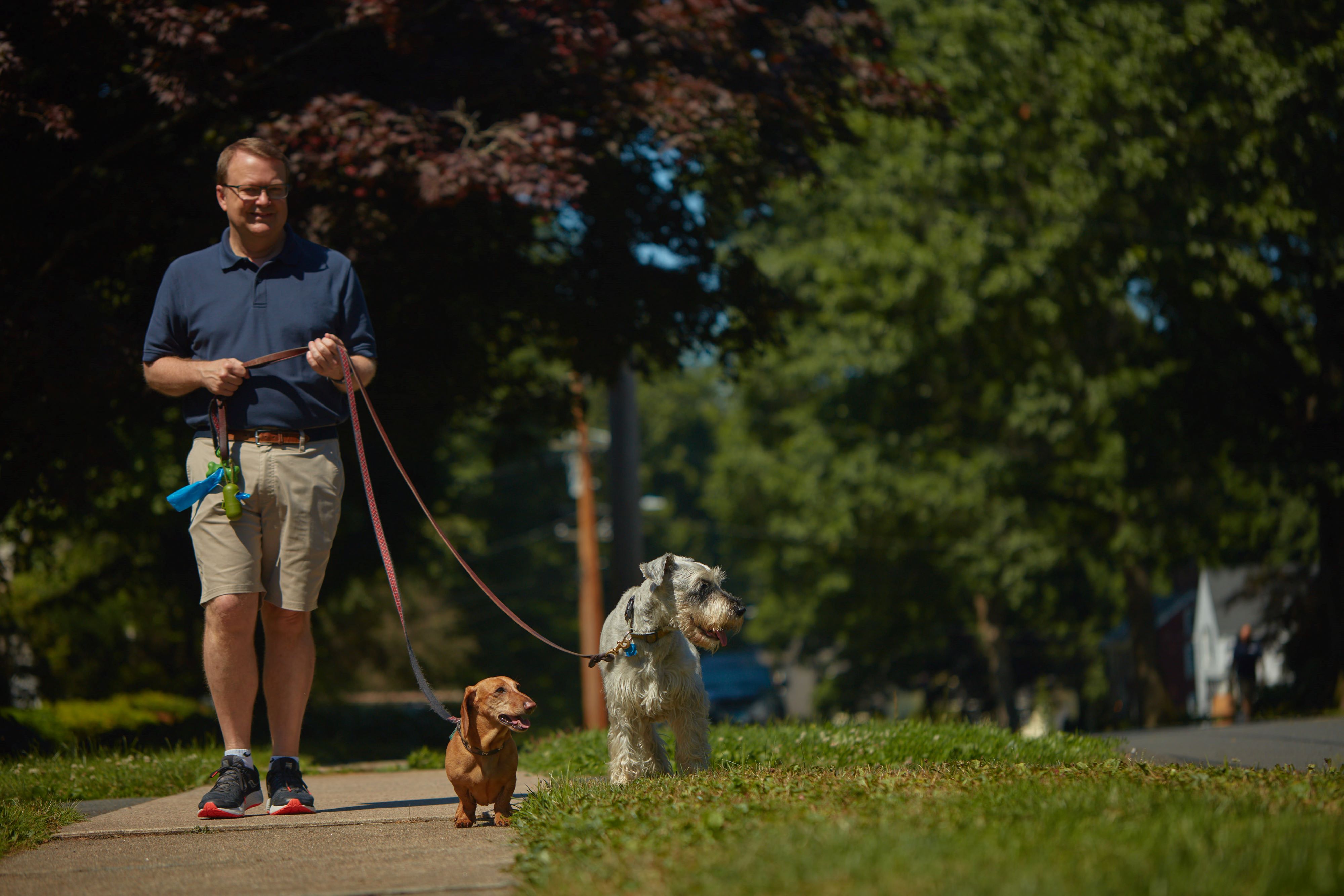 Daybreak store dog walkers