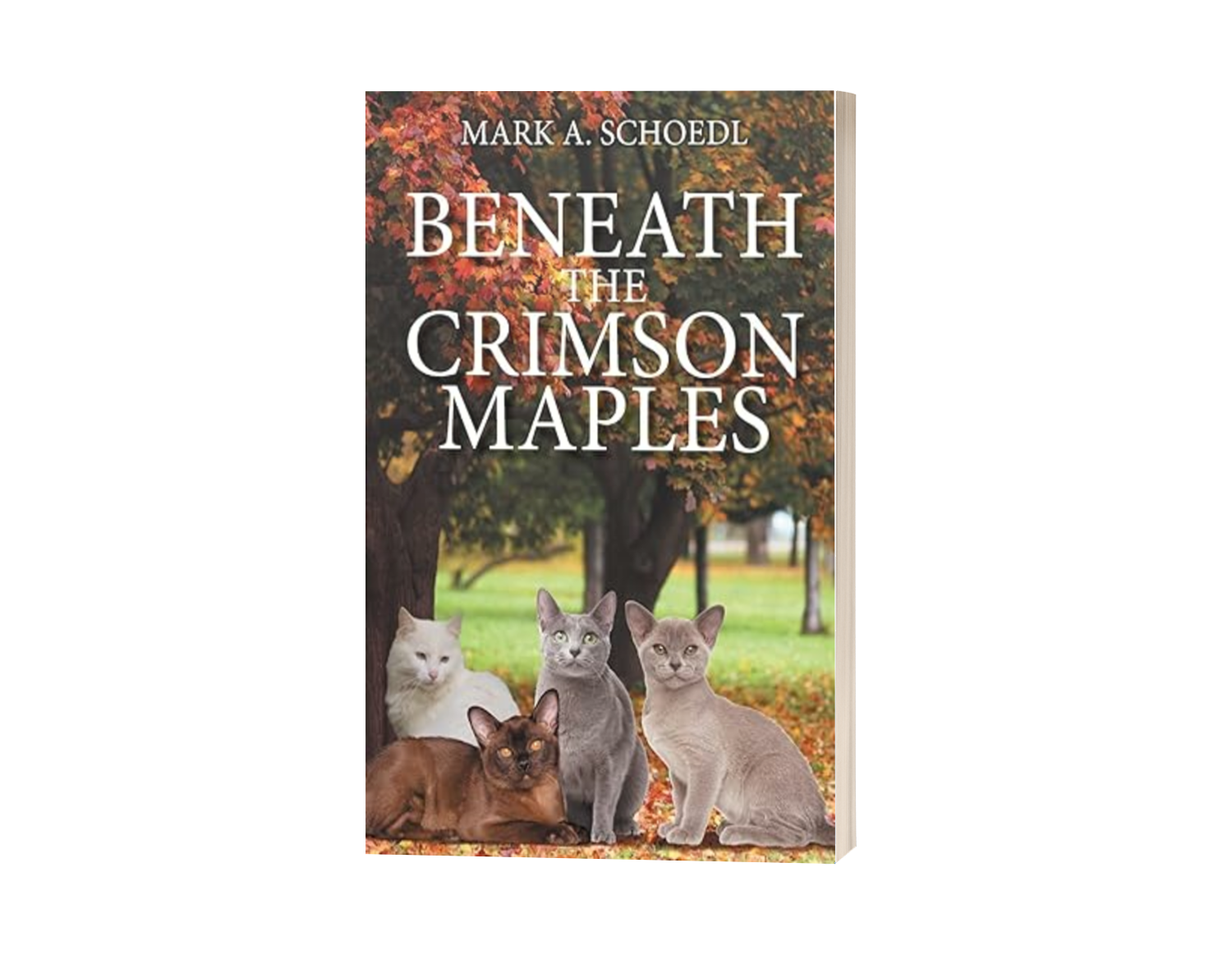 The Maple Staple Spotlights A Captivating Title At The London Book Fair The maple staple spotlights a captivating title at the london book fair