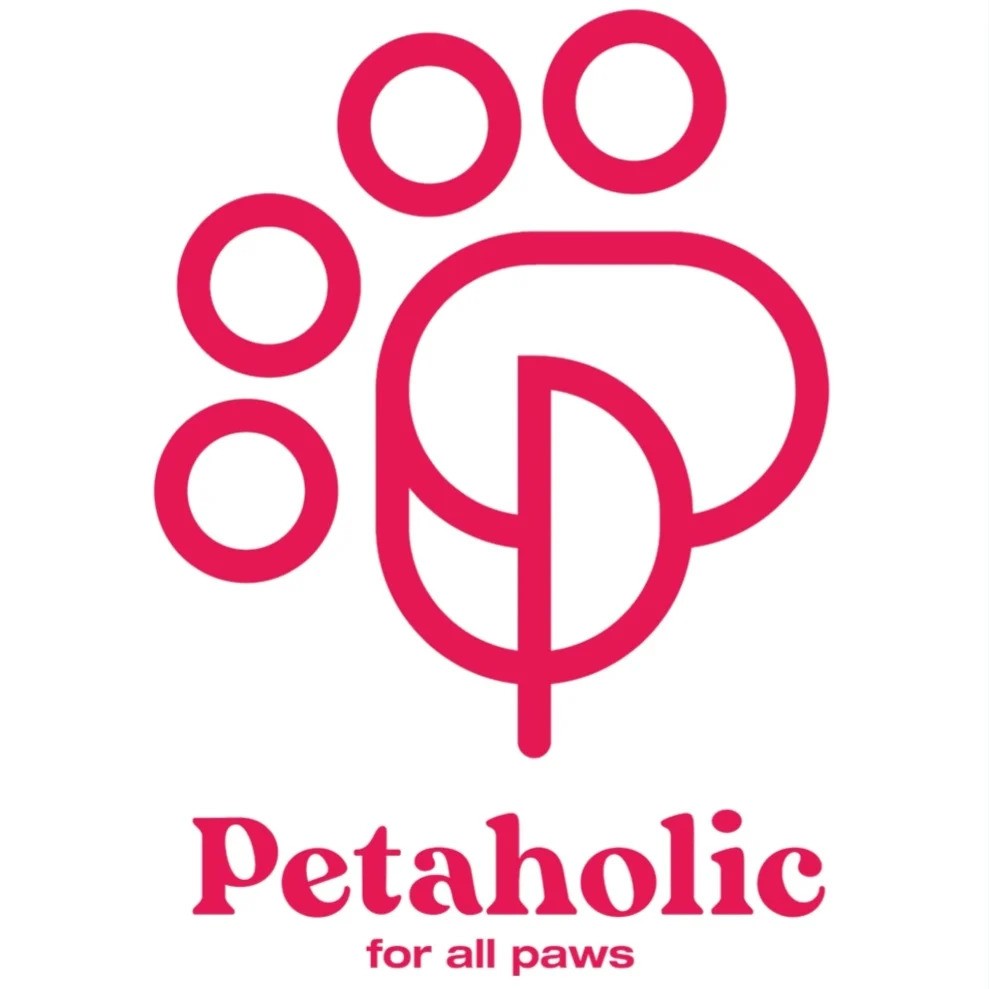 petaholic-sa-announces-special-initiative-to-support-stray-cats-in