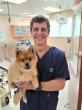 VetStem Cell Therapy Proponent, Dr. Jeff Christiansen, Surpasses 400 VetStem Cases