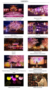 Seiji Kawajiri contributes funding for "NAKED Sakura Festival 2024