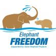 Thailand Tops Gen Z Travel Rankings: Elephant Freedom Project Leads the List of Top 10 Experiences