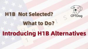 what to do when h1b not selected and opt ending soon?
