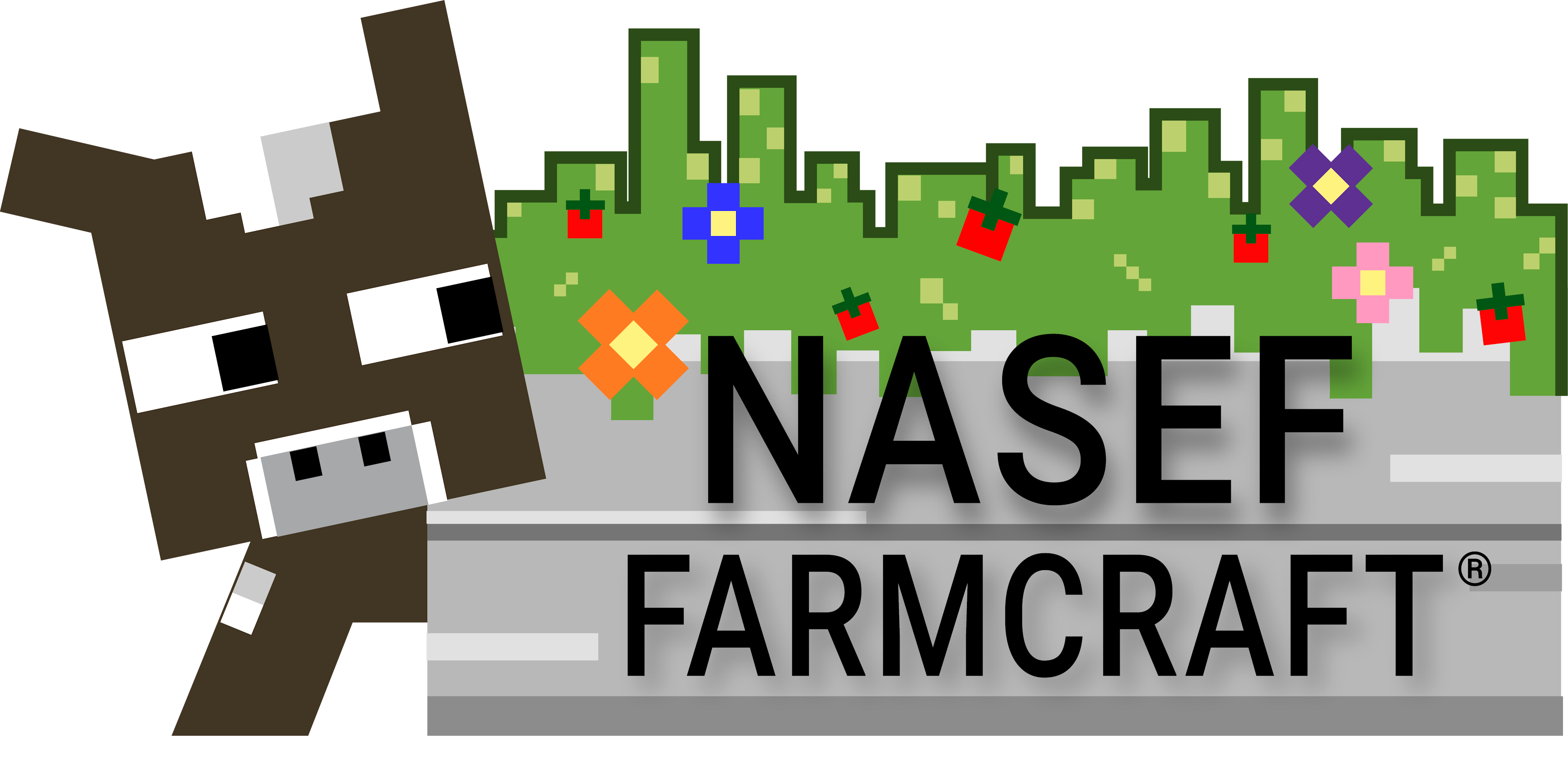 Student Teams Chosen to Showcase NASEF Farmcraft® at National STEM ...