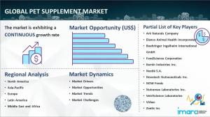 Pet Supplement Market Report 2024-2032